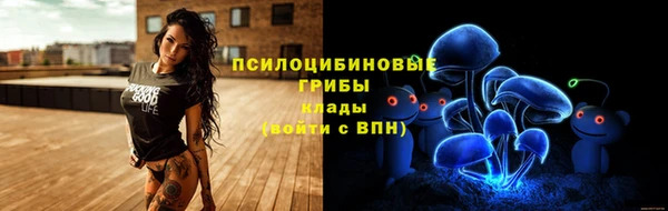 первитин Белокуриха