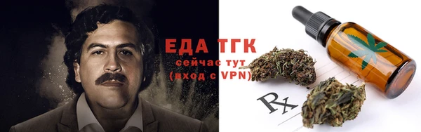шишки Беломорск