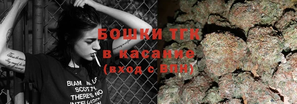 шишки Беломорск